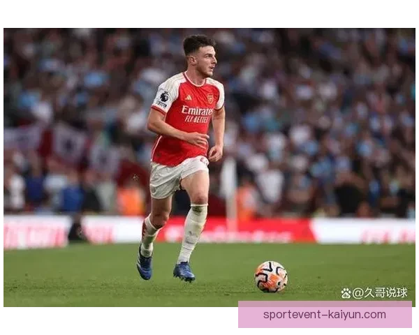 赖斯职业生涯亮点