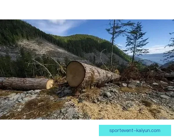 斯洛伐克经济持续增长，最新排名值得关注，展现出良好发展势头。